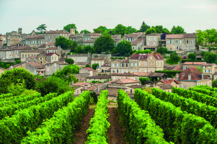Bordeaux & Its Vineyards